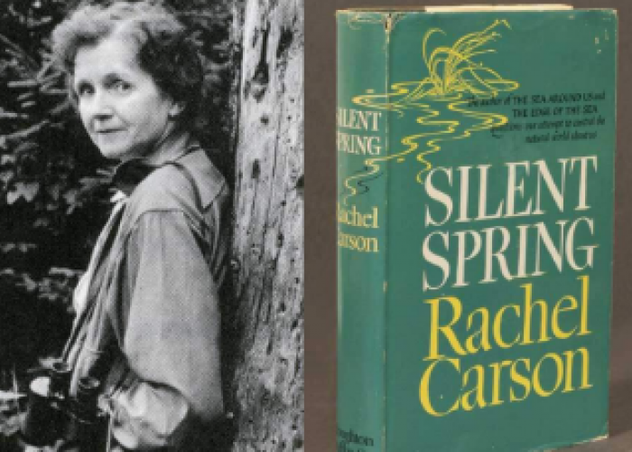 Primavera Silenciosa: Há 62 anos foi publicado o livro de Rachel Carson que deu início ao ambientalismo moderno 